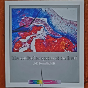 J.-C. Demoulin, M.D. - The conduction system of the heart