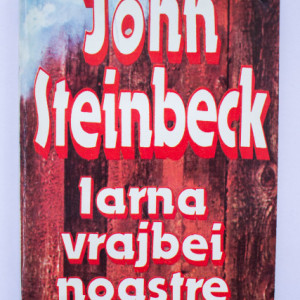 John Steinbeck - Iarna vrajbei noastre