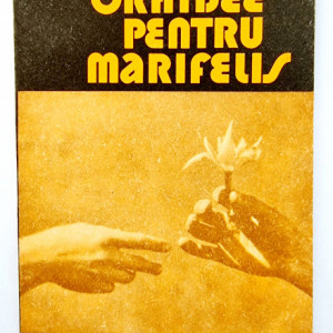 Leonida Neamtu - Orhidee pentru Marifelis