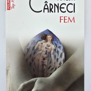 Magda Carneci - FEM
