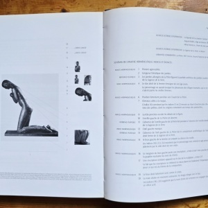 Matei Stircea-Craciun - Brancusi. Limbajele materiei (editie hardcover) - Img 7