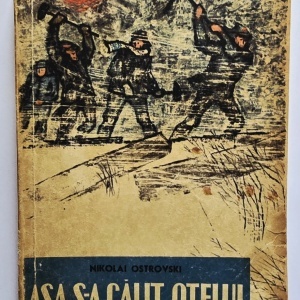 Nikolai Ostrovski - Asa s-a calit otelul