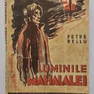 Petre Bellu - Luminile mahalalei