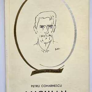 Petru Comarnescu - Luchian