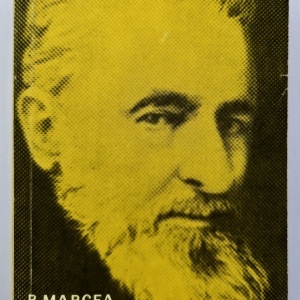 Pompiliu Marcea - Ioan Slavici