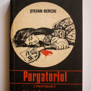Stefan Berciu - Purgatoriul