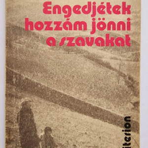 Suto Andras - Engedjetek hozzam jonni a szavakat