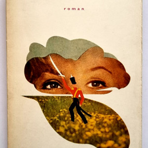 Thomas Hardy - Departe de lumea dezlantuita