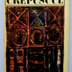 Aidan Higgins - Crepuscul