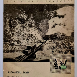 Alexandru Savu - Prin Maramures