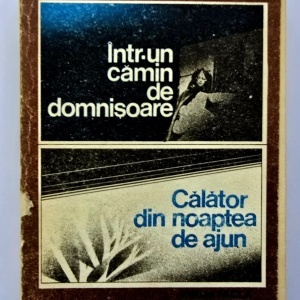 Anisoara Odeanu - Intr-un camin de domnisoara. Calator din noaptea de ajun