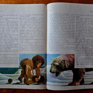 Cezar Petrescu - Fram, ursul polar - Img 2