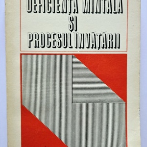 Constantin Paunescu - Deficienta mintala si procesul invatarii