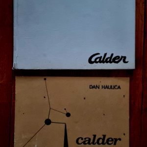 Dan Haulica - Calder. Variatiuni pe tema ”Homo faber” (editie hardcover)