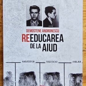 Demostene Andronescu - Reeducarea de la Aiud. O radiografie memorialistica