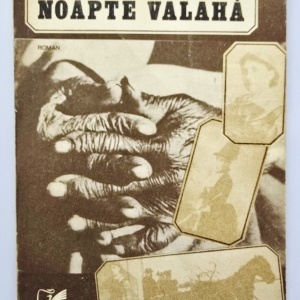 Dinu Bacauanu - Noapte valaha