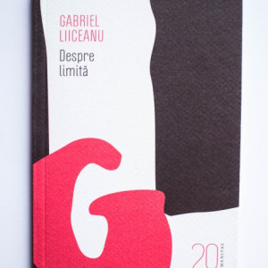 Gabriel Liiceanu - Despre limita