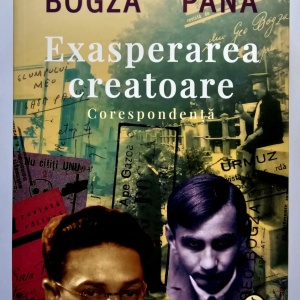 Geo Bogza, Sasa Pana - Exasperarea creatoare. Corespondenta