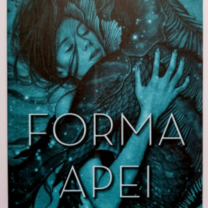 Guillermo del Toro, Daniel Kraus - Forma apei