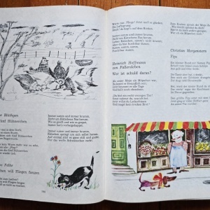 Hedi Hauser - Der Wunschring. Fur Kinder zusammengestellt von Hedi Hauser (editie hardcover) - Img 5