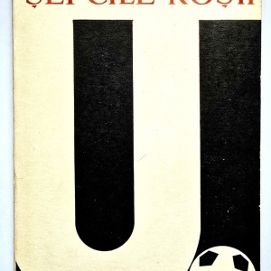 Ioan Chirila - Sepcile rosii (1919-1969)