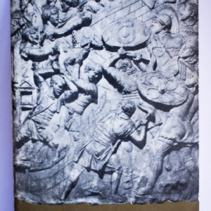 Ion Nicolae Bucur - Sarmis