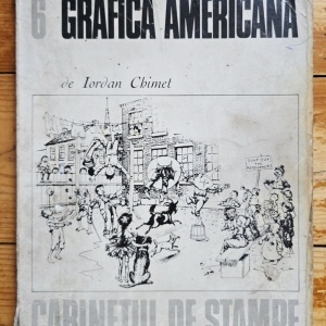Iordan Chimet - Grafica americana. Un portret al Americii