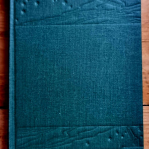 Jules Verne - De la Pamant la Luna (editie hardcover) - Img 2