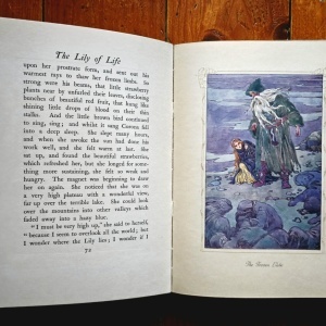 Marie, The Crown Princess of Roumania - The Lily of Life: A Fairy Tale (editie hardcover) - Img 8
