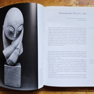 Matei Stircea-Craciun - Brancusi. Limbajele materiei (editie hardcover) - Img 4
