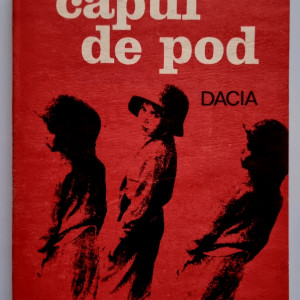 Mihai Arsene - Capul de pod