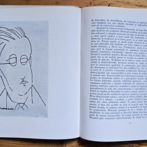 Mircea Deac - Constantin Brancusi (editie hardcover) - Img 4