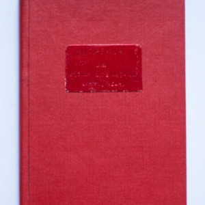 Nicolae Iorga - Pagini de critica din tinerete (editie hardcover, interbelica, frumos relegata) - Img 2