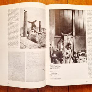 Pontus Hulten, Natalia Dumitresco, Alexandre Istrati - Constantin Brancusi (editie hardcover) - Img 5