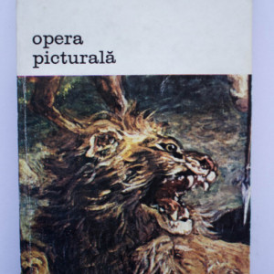 Rene Passeron - Opera picturala si functiile aparentei