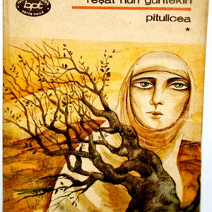 Resat Nuri Guntekin - Pitulicea (vol. I)