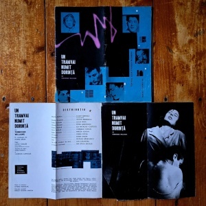 Tennessee Williams - Un tramvai numit dorinta (program teatru)