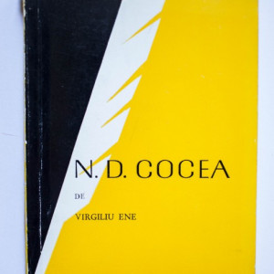 Virgiliu Ene - N. D. Cocea