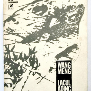 Wang Meng - Lacul adanc