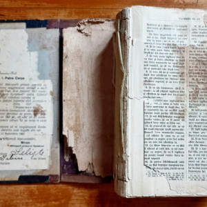 Biblia, adica Dumnezeeasca Scriptura a Legii Vechi si a Celei Noua. Tiparita in zilele Majestatii Sale Carol I, Regele Romaniei (editia Sfantului Sinod) (editie hardcover) - Img 3