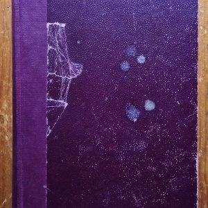 Charles Dickens - Aventures de monsieur Pickwick (2 vol., colegate, editie hardcover, frumos relegata) - Img 2