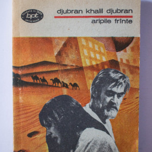 Djubran Khalil Djubran - Aripile frante