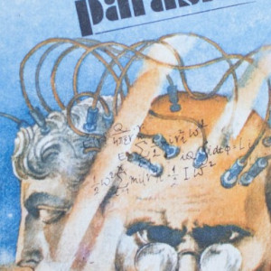 Erwin Wickert - Templul parasit (editie hardcover, frumos relegata) - Img 2