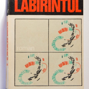 Francisc Pacurariu - Labirintul
