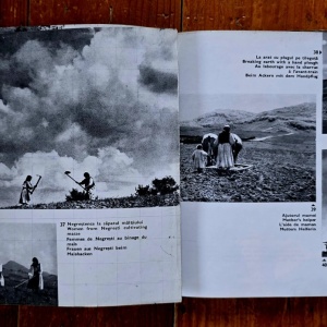 Ionita G. Andron - Tara Oasului (editie hardcover) - Img 2