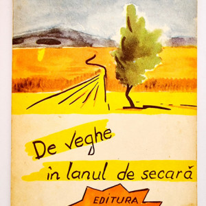 J. D. Salinger - De veghe in lanul de secara