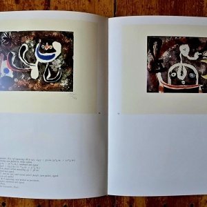 Jacques Dupin - Miro Engravings. Miro Engraver. Volume I: 1928-1960 (editie hardcover, in limba engleza) - Img 5