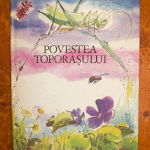 Klaus Bourquain, Ingeborg Meyer-Rey - Povestea Toporasului (editie hardcover)