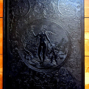 Leonard de Vinci - Le traite de la peinture de Leonard de Vinci (editie hardcover, bibliofila, bilingva) - Img 2