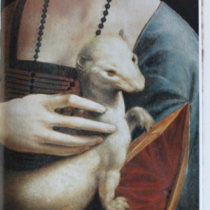 Leonardo da Vinci - The Complete Paintings and Drawings (album in limba engleza) - Img 3